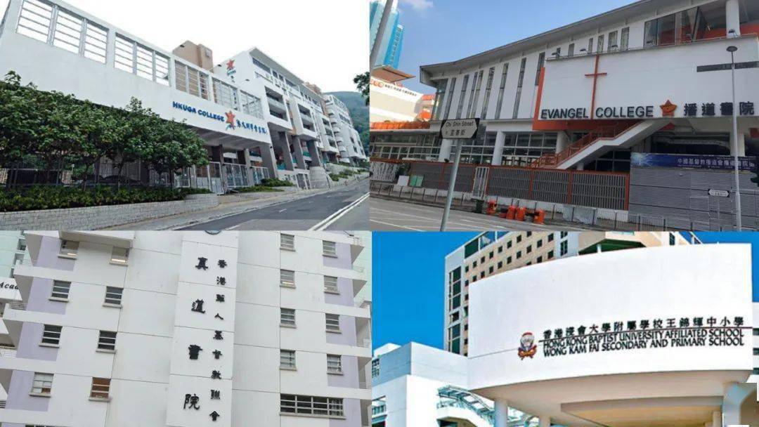 香港免費(fèi)公開資料大全，香港免費(fèi)公開資料大全概覽