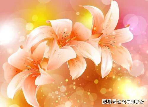 財(cái)神網(wǎng)3肖6碼必中論壇，財(cái)神網(wǎng)精準(zhǔn)3肖6碼必中論壇揭秘