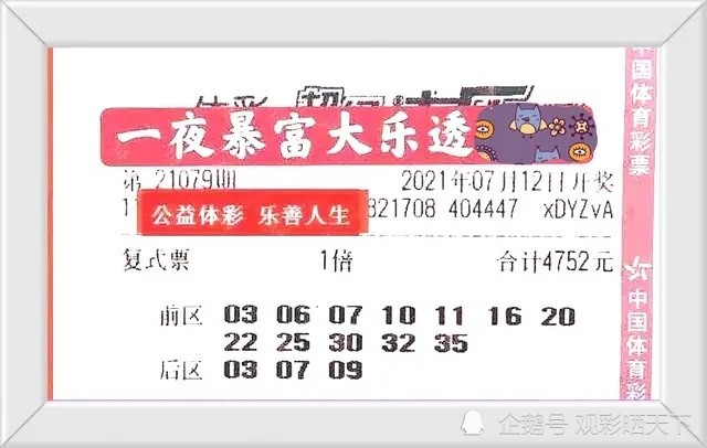 澳門特料碼天天開獎，揭秘彩票背后的故事，澳門特料碼天天開獎背后的故事揭秘