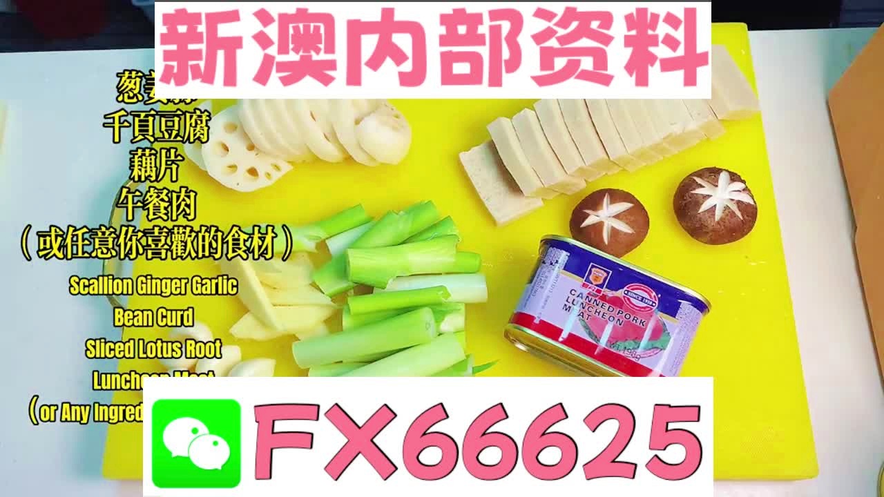 2025新澳精準(zhǔn)資料大全解釋，2025新澳精準(zhǔn)資料大全詳解