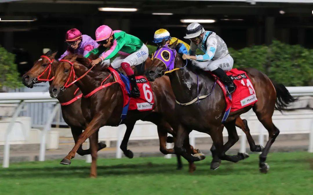 hkjc香港賽馬會(huì)，hkjc香港賽馬會(huì)精彩瞬間