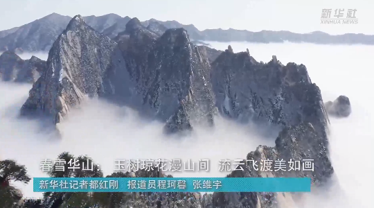 澳門最精準(zhǔn)正龍門