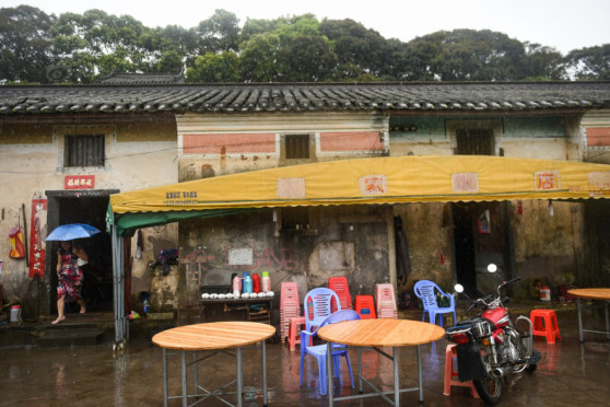 內(nèi)部馬料資料大全，一網(wǎng)打盡所有信息，內(nèi)部馬料資料大全，全面掌握所有信息