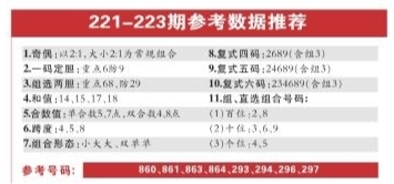 新澳精準資料免費提供，探索第221期第三期的奧秘，新澳精準資料探索第221期第三期奧秘，免費資料公開