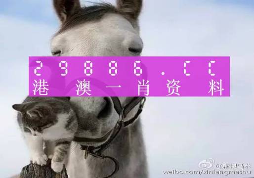 澳門一肖一碼一待一中四不像，澳門一肖一碼神秘預(yù)測，一待一中四不像的真相