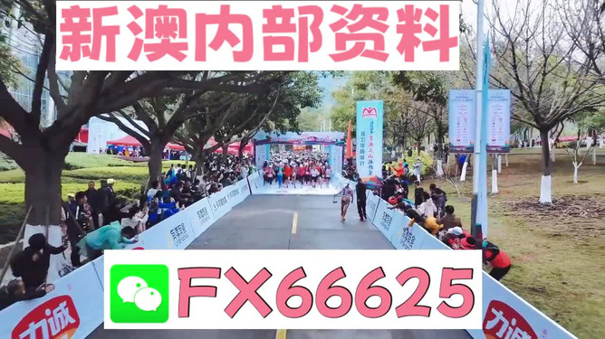 澳門(mén)掛牌正版掛牌完整掛牌大全解析，澳門(mén)掛牌正版掛牌完整指南解析