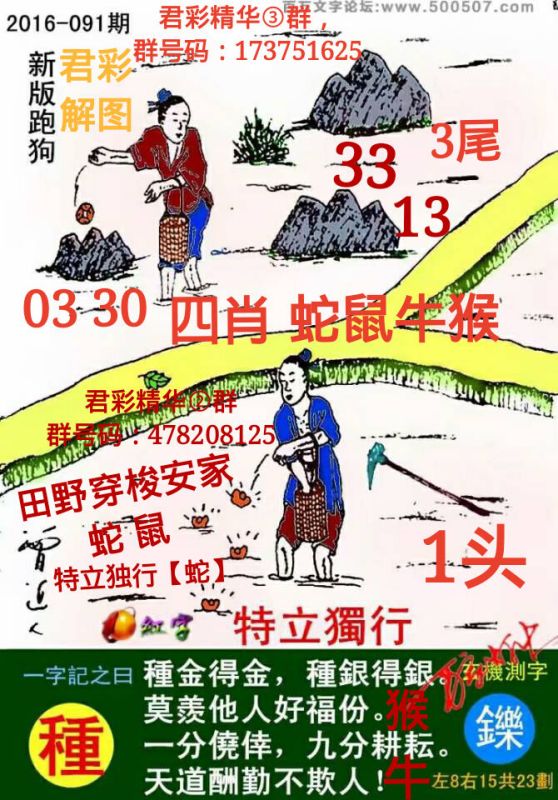 揭秘2025第5期新澳門跑狗圖—深度解析與預(yù)測(cè)，深度解析與預(yù)測(cè)，揭秘2025年第5期新澳門跑狗圖