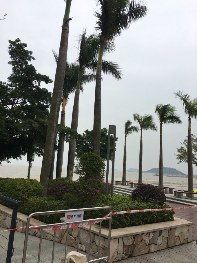 珠海澳門三日游，暢游浪漫海島與葡式風(fēng)情的完美融合，珠海澳門三日游，浪漫海島與葡式風(fēng)情的絕佳融合之旅