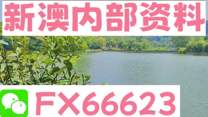 新澳最準的免費資料大全7456一網(wǎng)打盡，新澳最準免費資料大全一網(wǎng)打盡7456