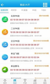 澳門免費資料大全，探索澳門的文化與歷史，澳門文化與歷史探索，免費資料大全
