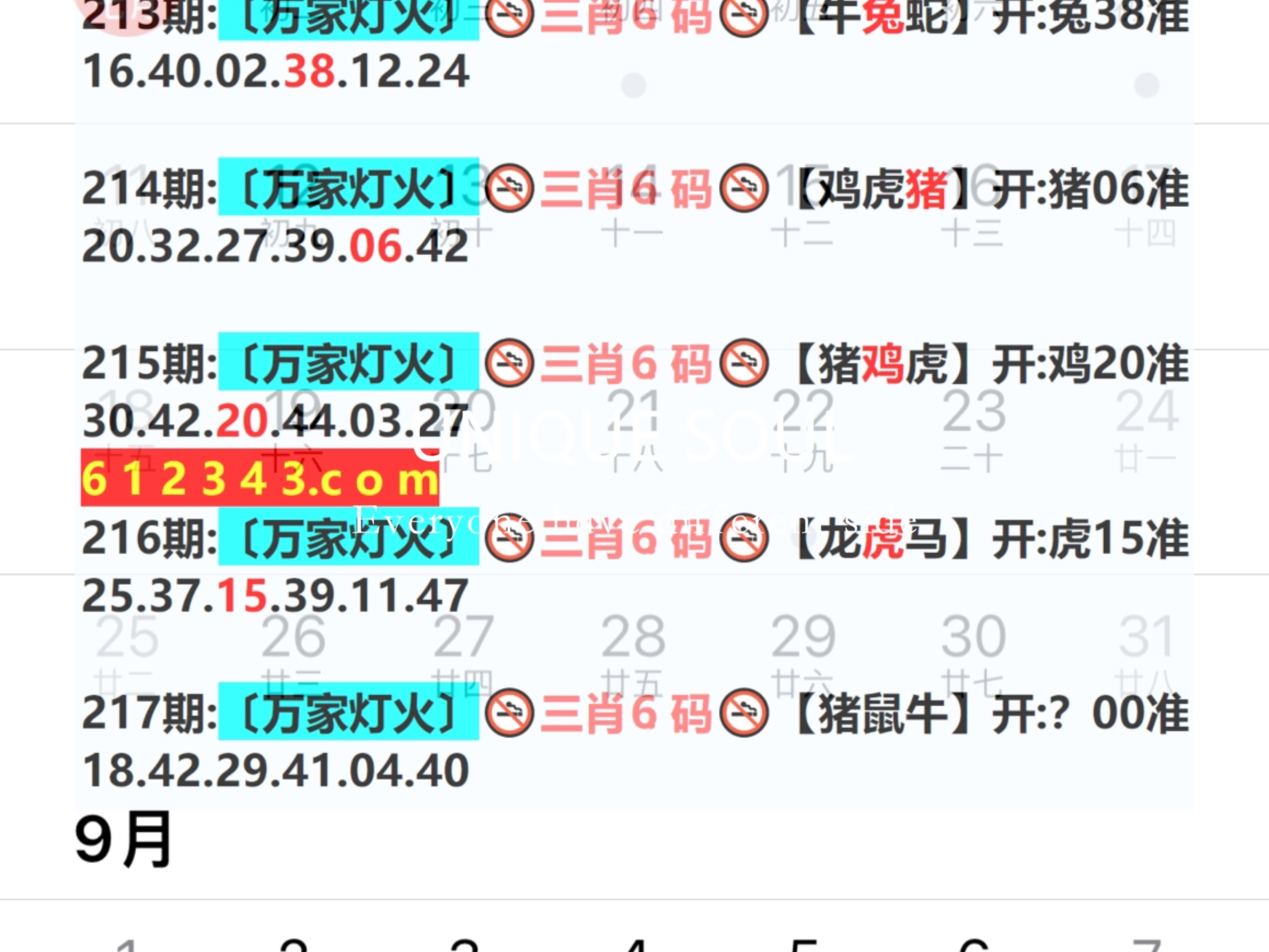 新奧門期期免費(fèi)資料大揭秘，新奧門期免費(fèi)資料揭秘