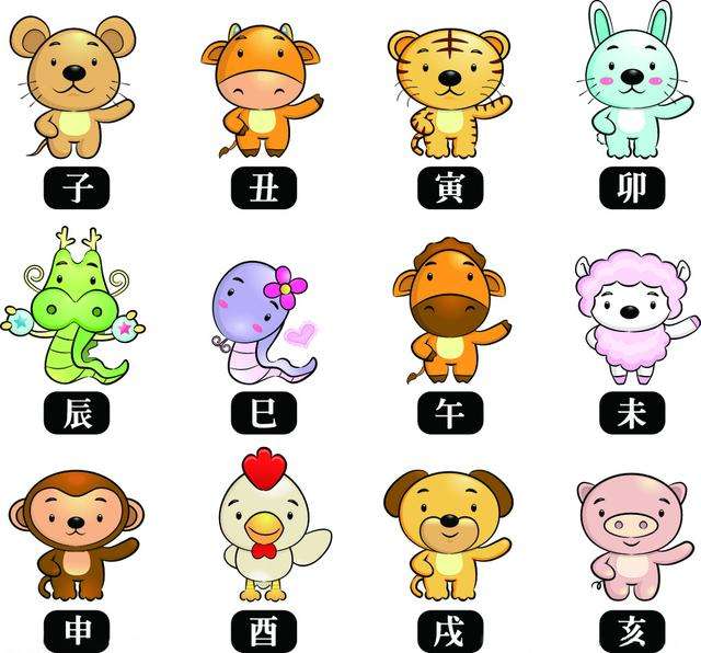 澳門天天彩期期精準(zhǔn)十二生肖，揭秘彩票背后的秘密，揭秘彩票背后的秘密，澳門天天彩期期精準(zhǔn)的十二生肖預(yù)測