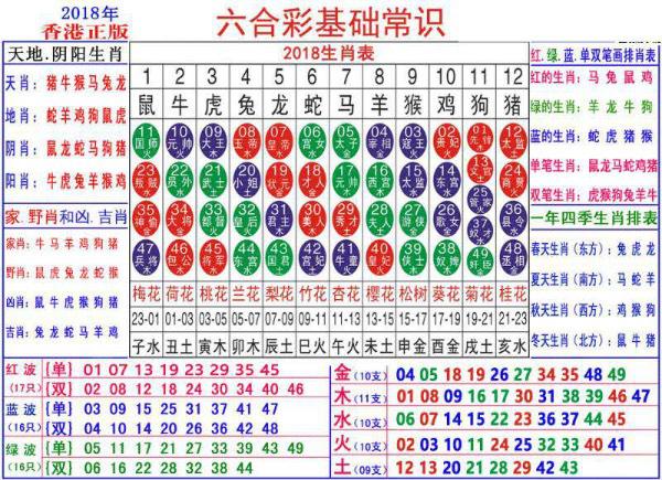 澳門正版資料大全資料生肖卡的魅力與奧秘，澳門正版資料大全，生肖卡的魅力與奧秘揭秘