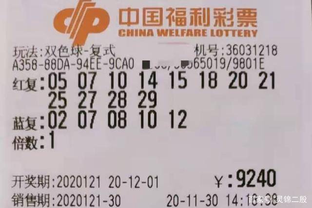 單雙各十碼王中王中特，解碼高手的奧秘世界，解碼高手的奧秘世界，單雙各十碼王中王中特揭秘