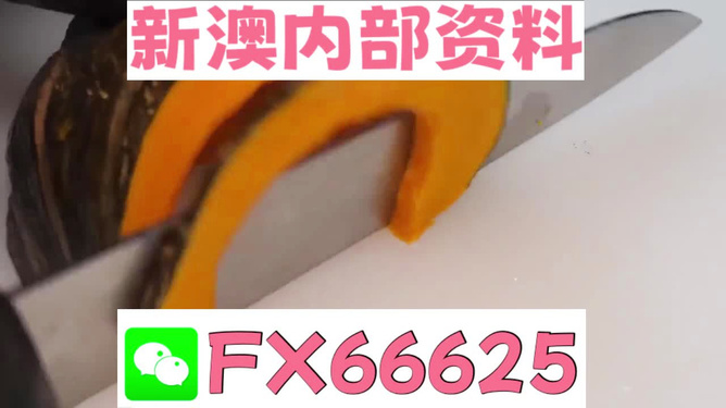 管家婆精準(zhǔn)資料會(huì)費(fèi)大全，管家婆精準(zhǔn)資料大全，全面解析會(huì)費(fèi)內(nèi)容