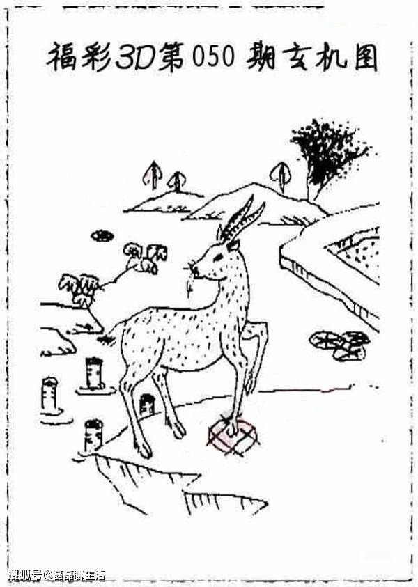 天下彩圖資訊，深度解讀彩票世界的多彩魅力，彩票世界的多彩魅力深度解讀，天下彩圖資訊