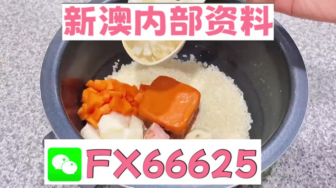 新奧精準(zhǔn)免費(fèi)資料大解析，新奧精準(zhǔn)免費(fèi)資料深度解析