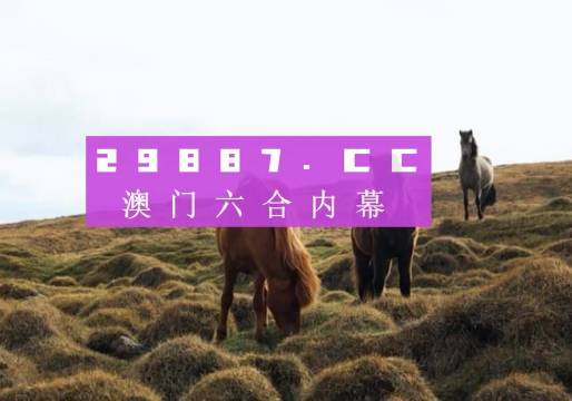 新澳門開獎結(jié)果及開獎記錄中心概覽，澳門開獎結(jié)果及記錄中心全景概覽