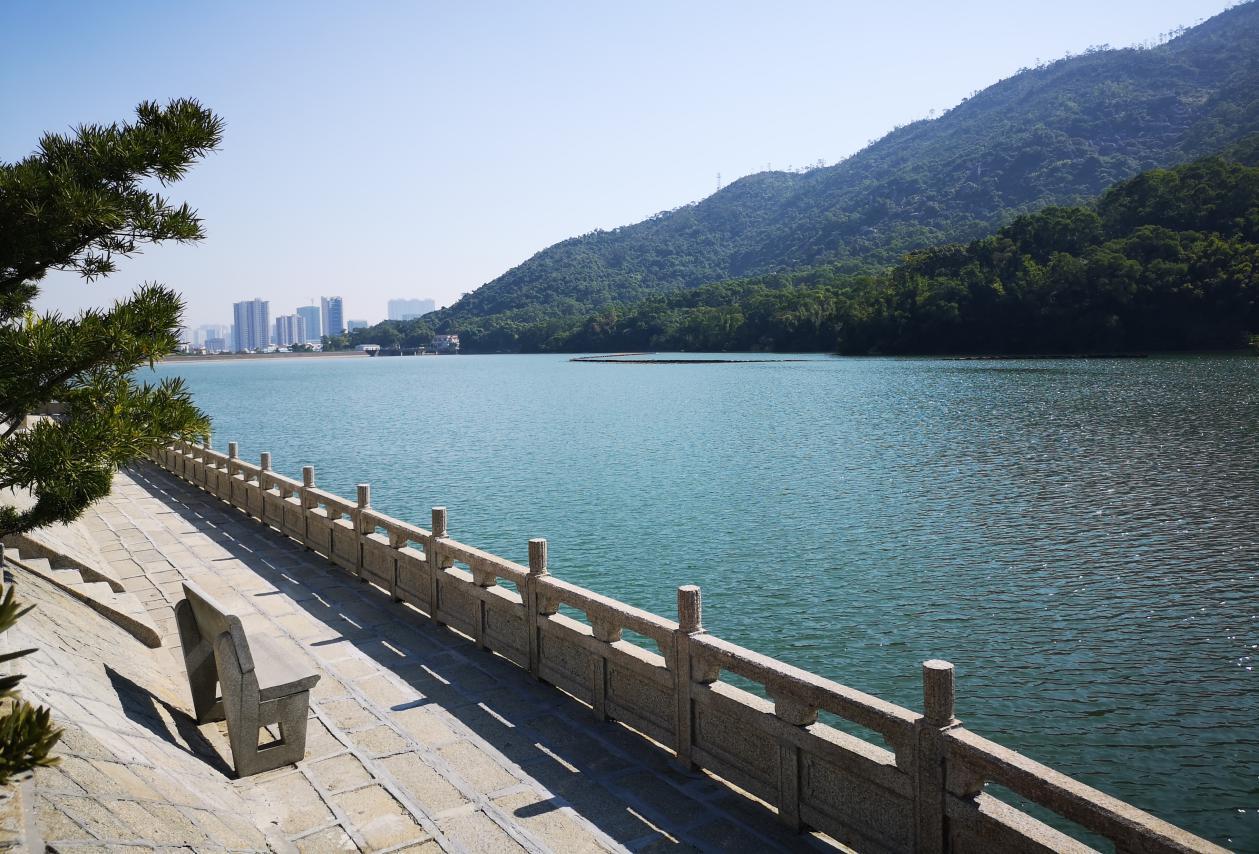 澳門開獎(jiǎng)結(jié)果168開獎(jiǎng)直播—揭秘彩票直播的魅力，澳門開獎(jiǎng)直播揭秘，彩票直播的魅力與結(jié)果揭曉