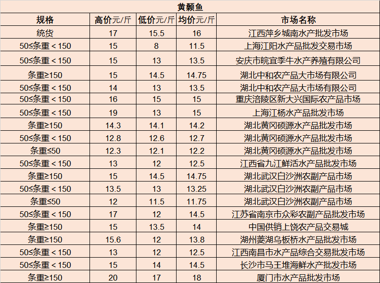 澳門新奧門新葡送28，澳門新葡送28精彩游戲體驗