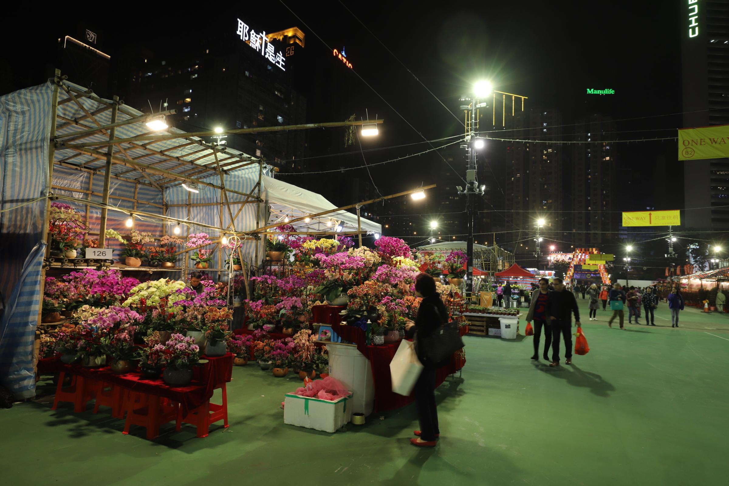 香l港正版資料大全2018生肖，香港正版資料大全2018生肖全解析