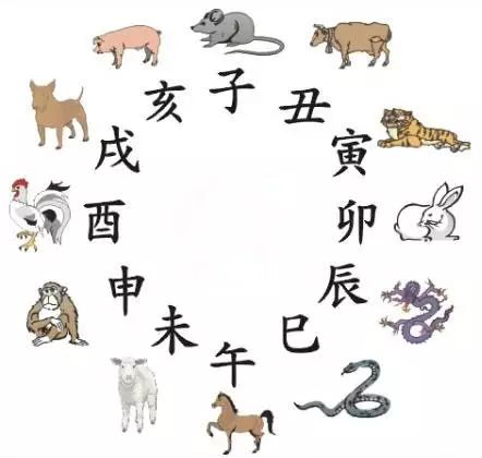 澳門天天彩期期精準(zhǔn)十二生肖，澳門天天彩期期精準(zhǔn)十二生肖預(yù)測(cè)