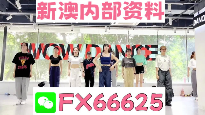 新澳門免費資料掛牌大全—探索最新資訊的旅程，澳門最新資訊掛牌大全，免費探索之旅