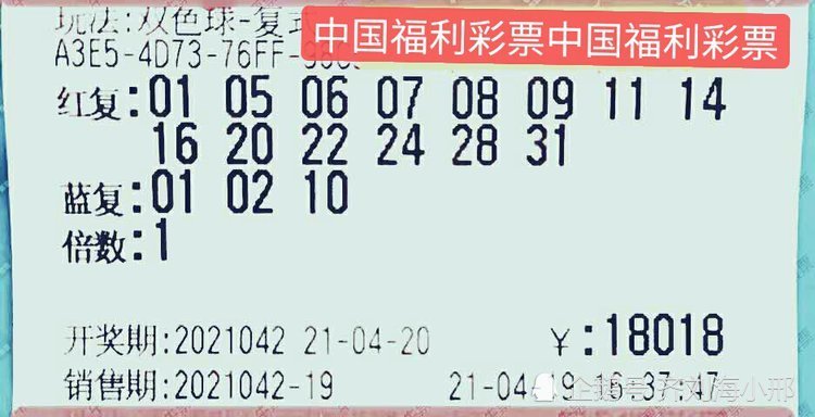 探索未來(lái)，解析澳門(mén)特馬今晚的開(kāi)碼趨勢(shì) 2025展望，澳門(mén)特馬未來(lái)趨勢(shì)解析，探索未來(lái)開(kāi)碼趨勢(shì)展望2025