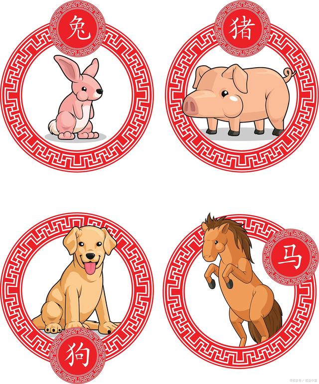 澳門天天彩期期精準(zhǔn)十二生肖，揭秘彩票背后的秘密，揭秘彩票背后的秘密，澳門天天彩期期精準(zhǔn)的十二生肖預(yù)測