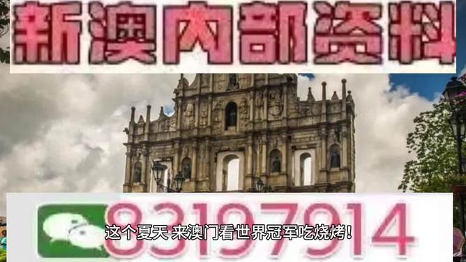 今晚澳門特馬開出的幸運號碼解析，澳門特馬今晚幸運號碼解析揭秘