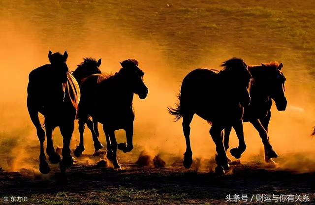 特馬揭曉
