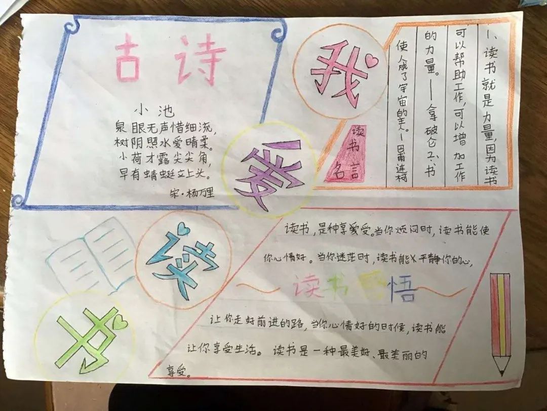 白小姐今特馬期期生肖的神秘面紗，白小姐揭秘生肖神秘面紗，今期生肖揭曉時(shí)刻