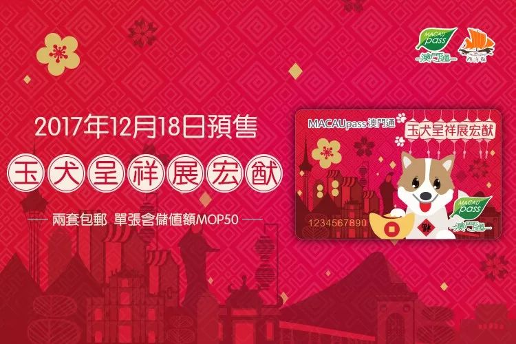 澳門正版資料大全資料生肖卡的魅力與奧秘，澳門正版資料大全，生肖卡的魅力與奧秘揭秘
