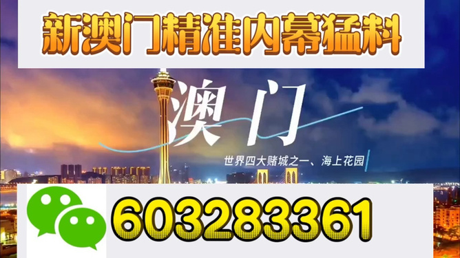 今晚新澳門三肖三碼資料，澳門今晚三肖三碼資料揭秘