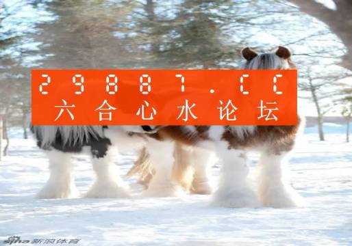 必中一肖一碼