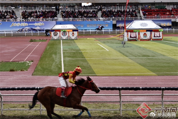 2025年今晚跑馬圖，2025年今晚跑馬圖預(yù)測(cè)與解析