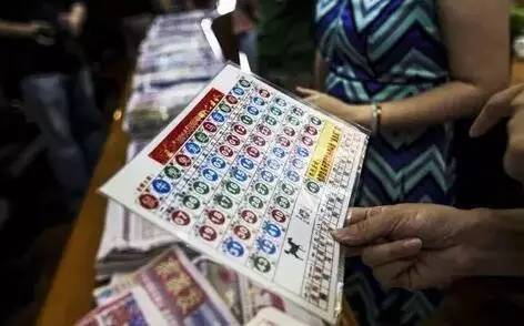 香港最新開獎結果今天，香港最新開獎結果今日揭曉