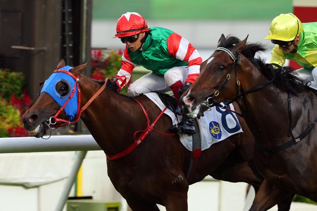 揭秘香港馬，777778背后的故事與激情，揭秘香港馬背后的故事與激情，數(shù)字777778的獨(dú)特魅力
