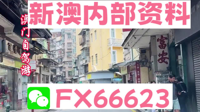 新澳精準(zhǔn)正版免費(fèi)大全，新澳正版免費(fèi)大全，全方位精準(zhǔn)解析