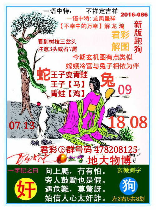 揭秘7777788888跑狗圖開獎結(jié)果，揭秘跑狗圖開獎結(jié)果，77777與88888的神秘組合揭曉