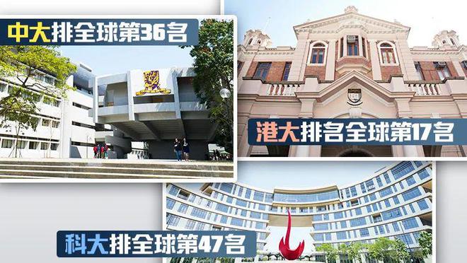 新澳天天彩2025芳草地，新澳天天彩2025芳草地開獎揭曉！