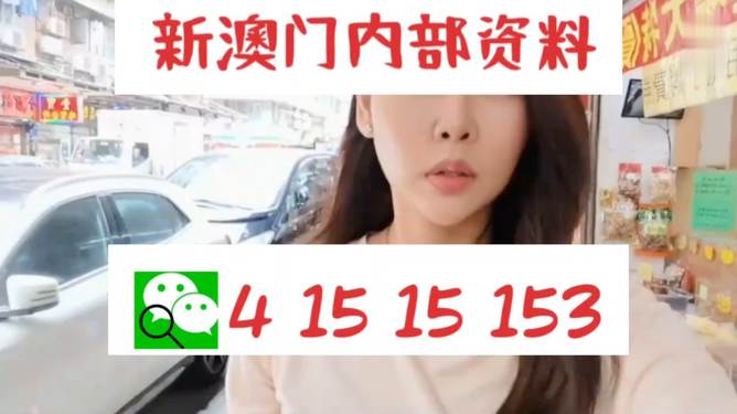 新澳門天天開好彩大全512，探索博彩世界的魅力，探索博彩世界的魅力，新澳門天天開好彩大全512