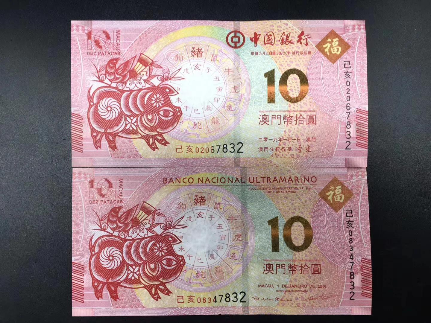 澳門天天彩期期精準(zhǔn)十二生肖，澳門天天彩期期精準(zhǔn)十二生肖預(yù)測