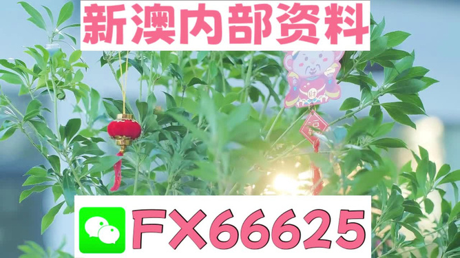 新澳精準(zhǔn)資料免費(fèi)提供最新版，新澳精準(zhǔn)資料最新版免費(fèi)分享