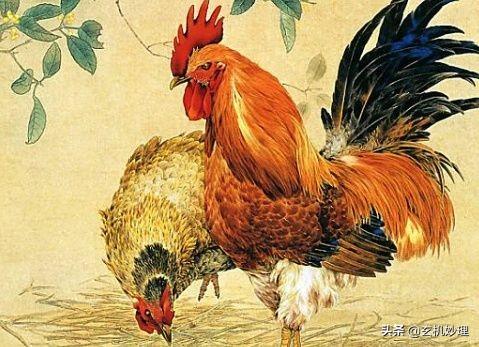 揭秘今天會(huì)開什么生肖—生肖運(yùn)勢(shì)大解密，揭秘今日生肖運(yùn)勢(shì)，生肖開運(yùn)大解密
