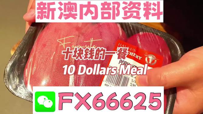 2025新澳精準(zhǔn)資料免費(fèi)，2025新澳精準(zhǔn)資料免費(fèi)大公開